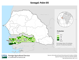 images\SG\cropprod\Senegal_Oil_Palm_preview.png